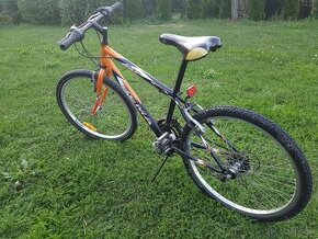 DEMA ISEO 24" Mountain Bike Collection - 1