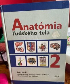 Anatomia Peter Mraz 2 - 1