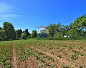 NA PREDAJ pozemok v Bošáci, možná budúca výstavba