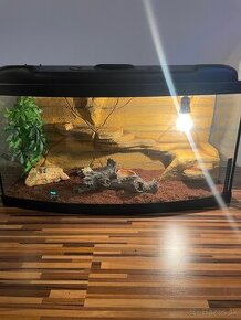 Terarium 80x35x40