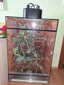 Terarium