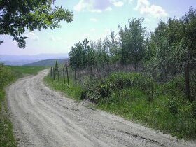 Predám pozemky v Kavečanoch v rozlohe 15 000 m2 - 1