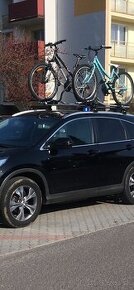 Thule proride 591