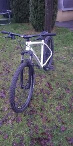 Specialized rockhopper comp 29