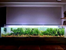 LED WRB svetlo na akvárium 300cm/170w