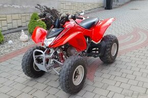 Honda Trx 250