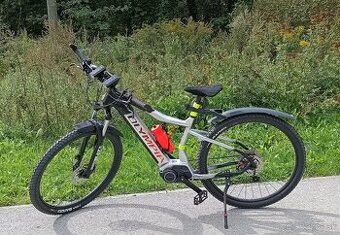 E bike Olympia Performer 900 (900 Wh / 85 Nm) 29