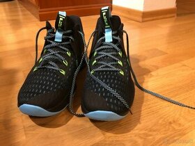 Nike Lebron Witness V      v. 43