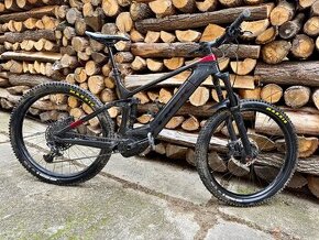 Trek Powerfly LT 9.7 Plus - 1