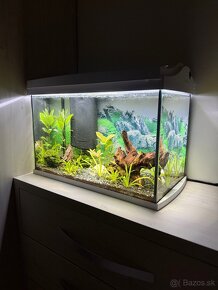 Akvárium tetra 60L