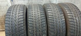 225/65R17 Zimne - 1