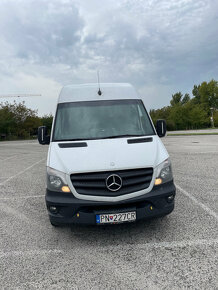 Mercedes Spriner