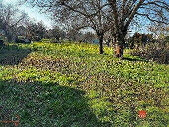 Na predaj pozemok s rodinným domom,Nitra