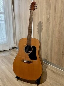 Gitara Walden D350