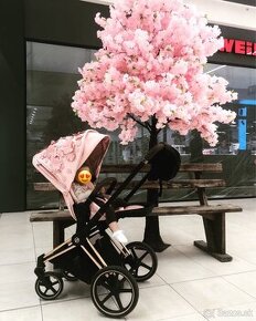 Predam cybex priam simply flowers pink