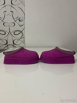 UGG Tazz Slipper Mangosteen