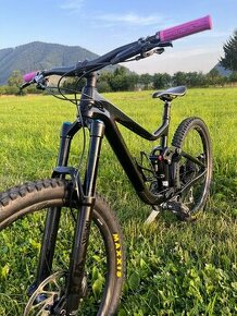 Giant reign carbon 2020