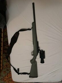 Ruger american predator 308