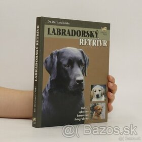 Labradorský retrívr