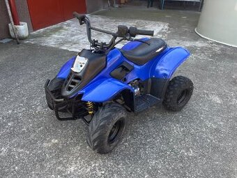 Štvorkolka 110ccm Atv