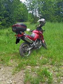 Kawasaki kle 500