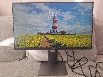 Predam 22" FULL HD LCD  monitor DELL P2219H - HDMI/IPS