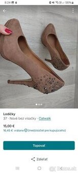 Lodicky