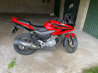 HONDA CBF 125