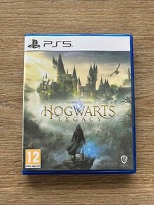 Hogwarts Legacy na Playstation 5