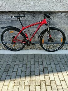 Specialized Rockhopper 29" - 1