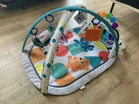 Baby Einstein deka set