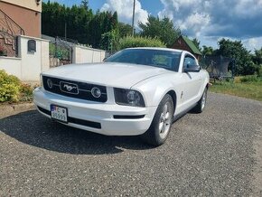 Mustang