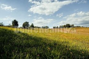 PREDAJ: Pozemok pre rodinný dom s výhľadmi, 4607 m2, Detvian