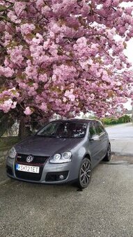 Volkswagen golf 5 2 TDI