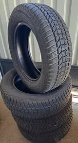 205/60 R16 zimne