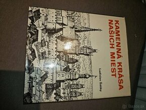 L. Šášky - Kamenná krása našich miest