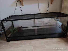 Terarium - 1