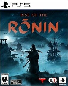 Rise of the ronin