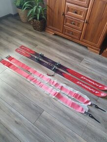 Predam ski-alp DYNAFIT,170 cm,viaz.Dynafit,pasy