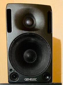 Genelec 1029A