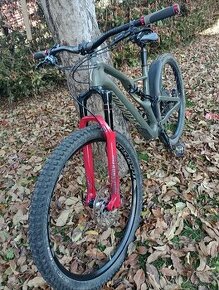 Specialized Stumpjumper ST Carbon 29 L