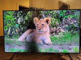 Samsung 65"