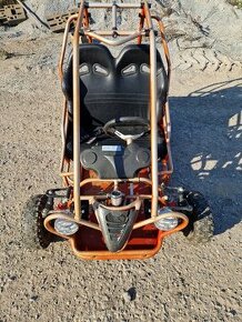 Buggy FX 50 kart /// bugina - 1