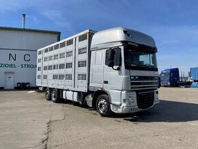 DAF FAR XF 105.510 na prepravu zvierat 6×2, EURO 5, VIN 417