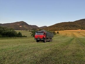 Agroslužby - odvoz / preprava Tatra Agro 815