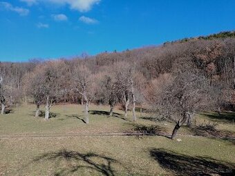 Rez ovocných stromov, záhradné údržby