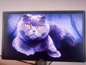 Monitor profesionálny monitor DELL P2314Ht – full HD