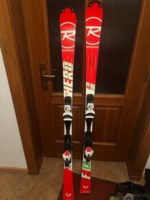 Rossignol HERO FIS SL