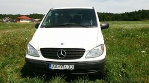 Mercedes Vito 4x4 - 1