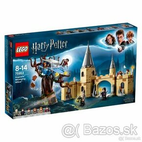 LEGO Harry Potter™ 75953